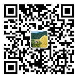 709彩票网址